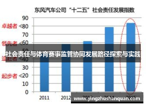 社会责任与体育赛事监管协同发展路径探索与实践